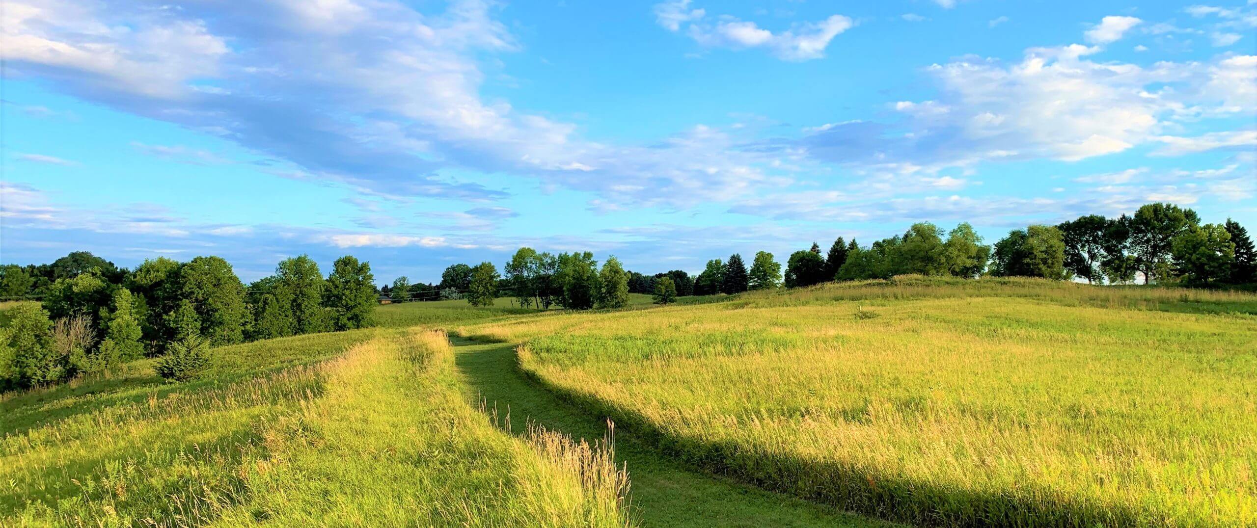 What is Eckankar? | Eckankar is Love, Wisdom & Spiritual Freedom