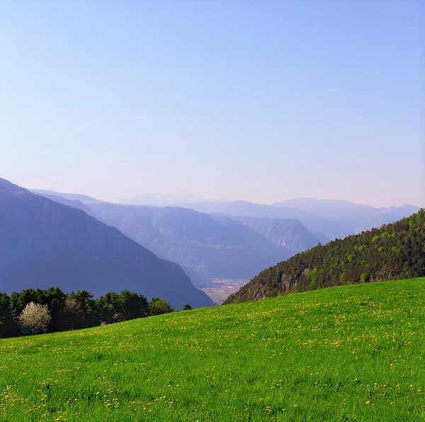 A grassy hill overlooking mountains