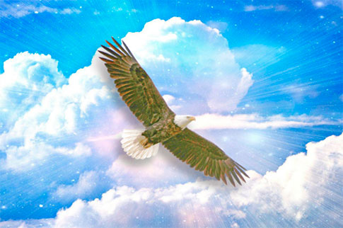 A soaring eagle against a radiant blue sky and clouds, symbolizing the spiritual freedom that comes from seeing life from a Soul perspective.